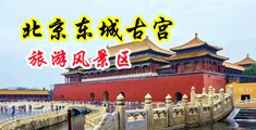 伊人咪咪爱中国北京-东城古宫旅游风景区